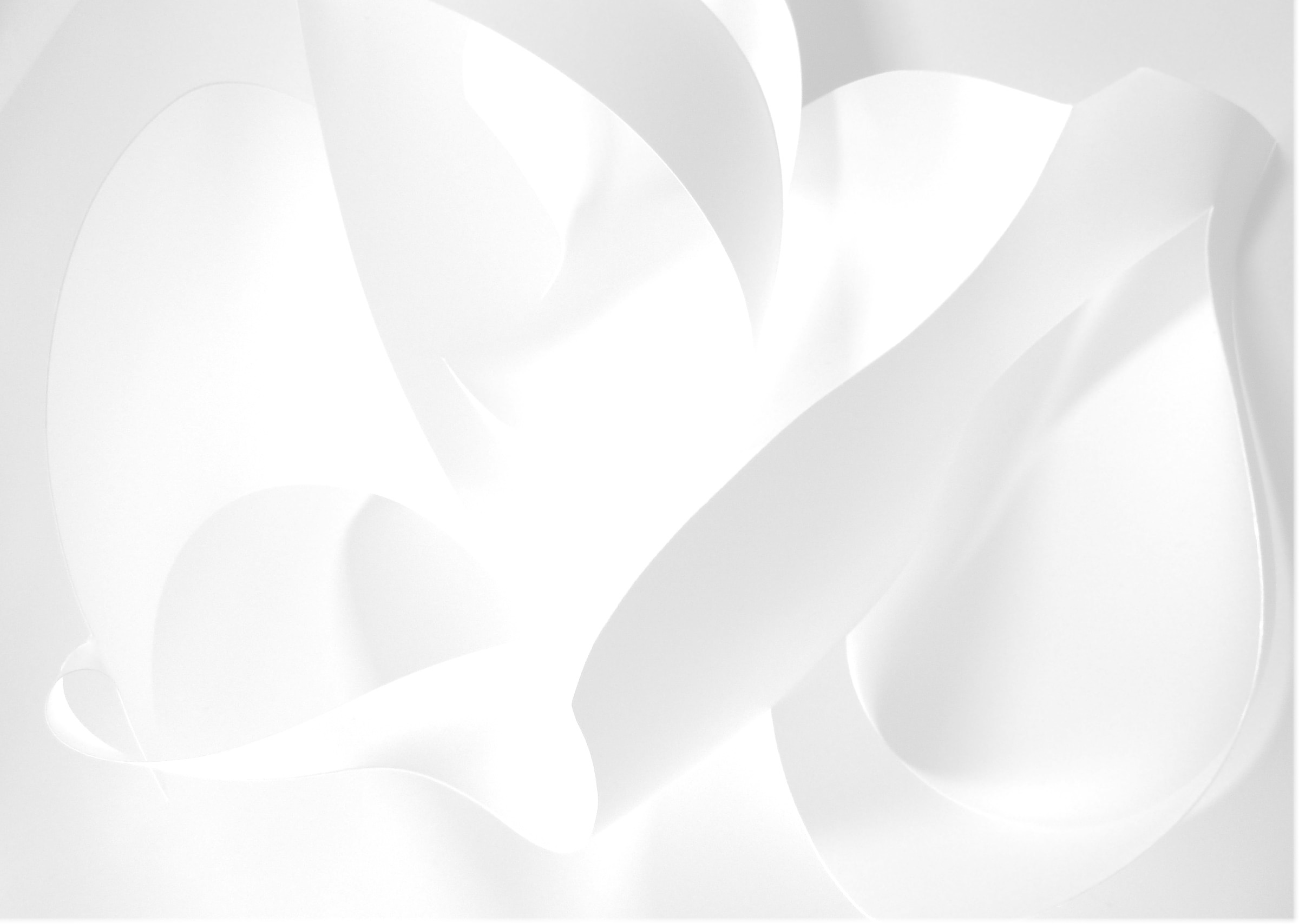 Background os white abstract, sculptural, curvy lines and soft shadows.